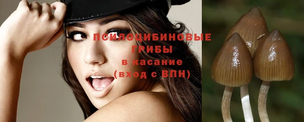 таблы Армянск