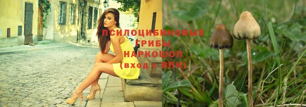 прущие крисы Арсеньев