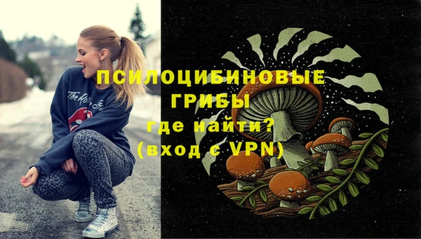 эйфоретик Аркадак